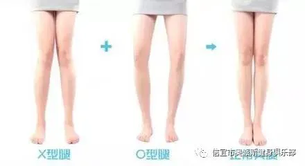 职业篮球教练如何制定有效的赛制训练计划?_2